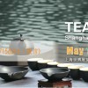 2017第十四屆上海國際茶業博覽會